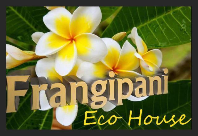 Frangipani House Luxury Huge Center With Lift * Cagliari